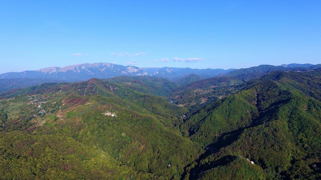 Pensiunea Eden Băile Olăneşti Kültér fotó